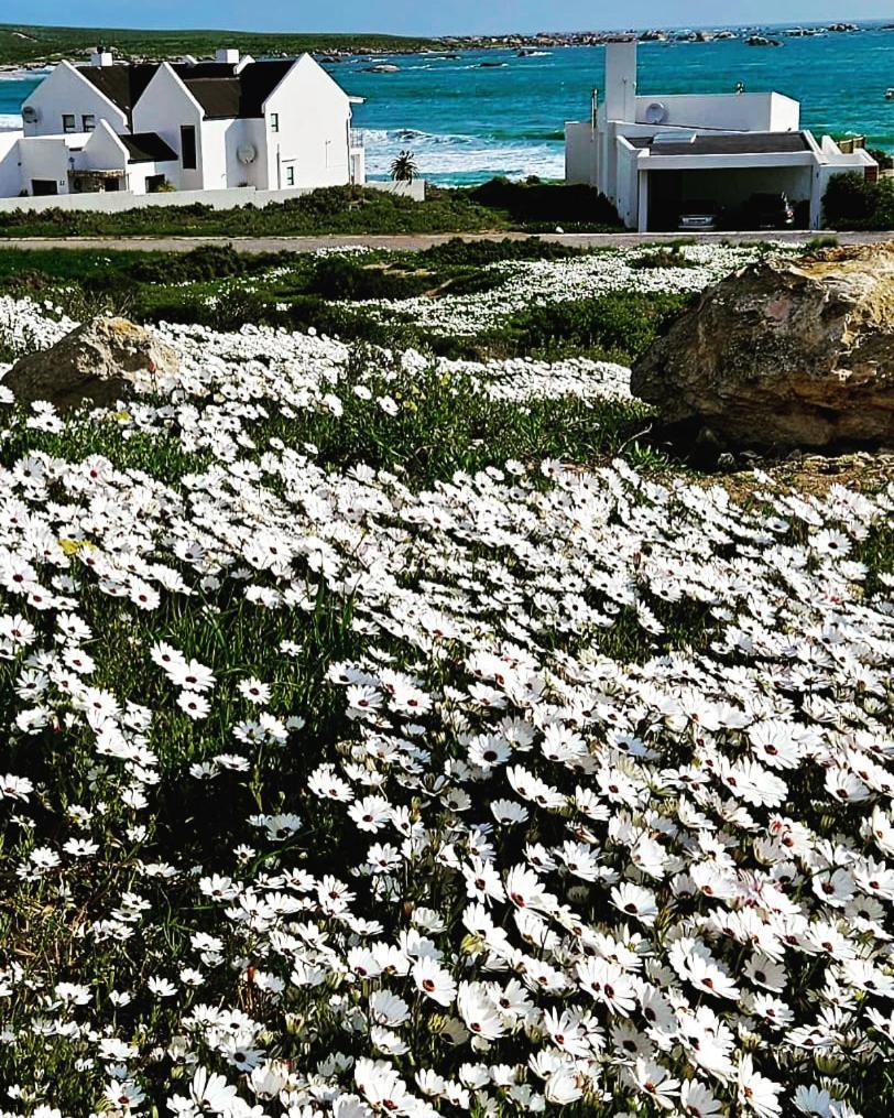 Villa Sonkwas 10 Paternoster Exterior foto